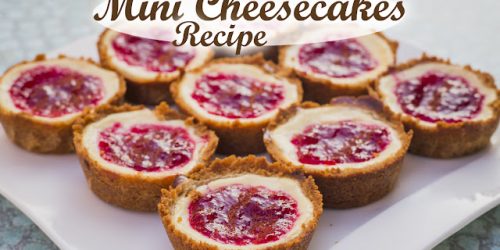 Mini Cheesecakes Recipe