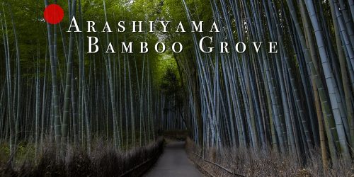 Visiting the Arashiyama Bamboo Grove in Kyoto