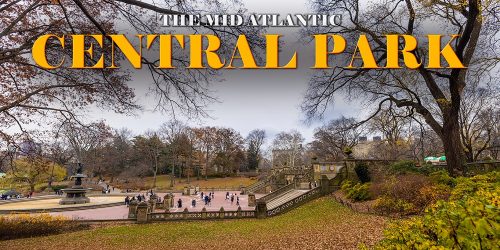 Winter Labyrinth: Exploring Central Park