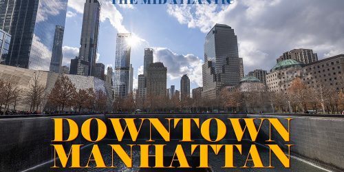 Urban Jungle: Exploring Downtown Manhattan