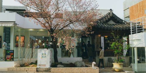 Best Seoul Hotels 2024: Data-Driven Analysis of Luxury and Boutique Accommodations