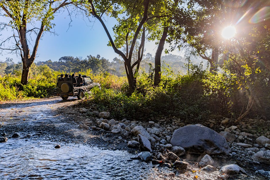 Stunning morning view of a jeep on a safari trail in Uttarakhand, India, surrounded by lush trees and sunlight.