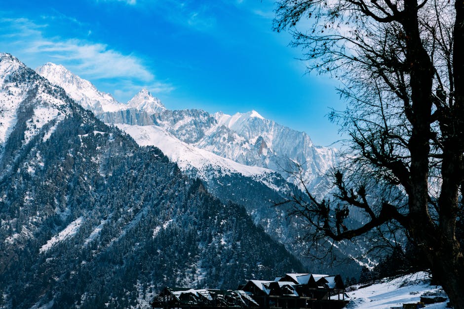 Breathtaking view of snow-covered mountains and pine trees under a blue sky.