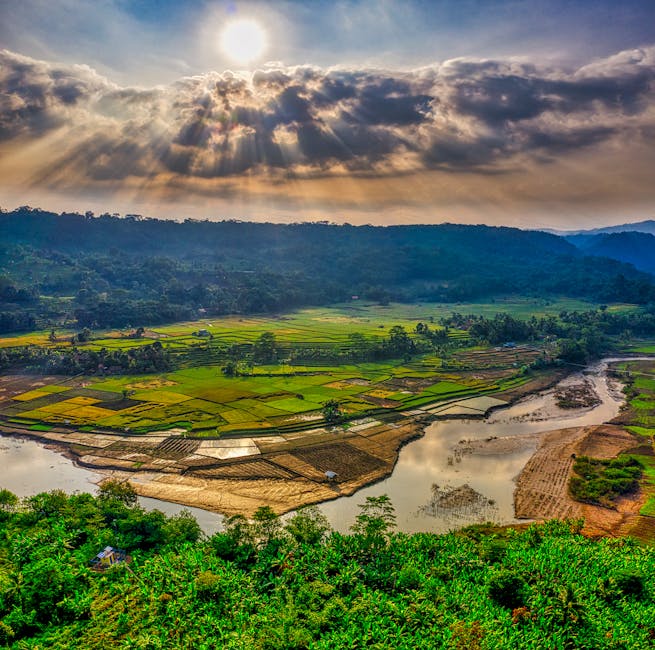 Breathtaking aerial view of lush rice fields in Purwakarta, West Java, under a dramatic sunset sky.