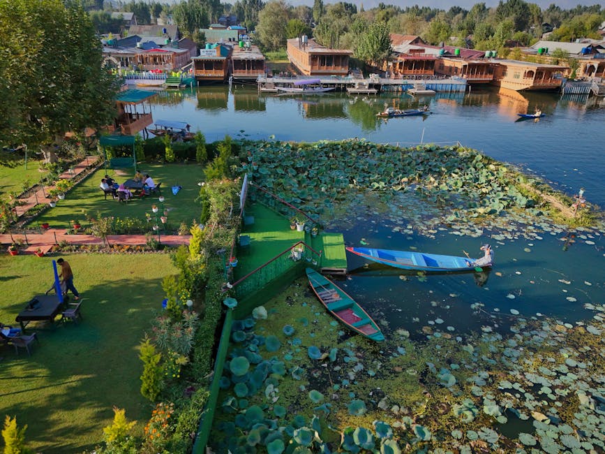 Aerial view of houseboats and lush greenery on tranquil Dal Lake in Srinagar, Kashmir.