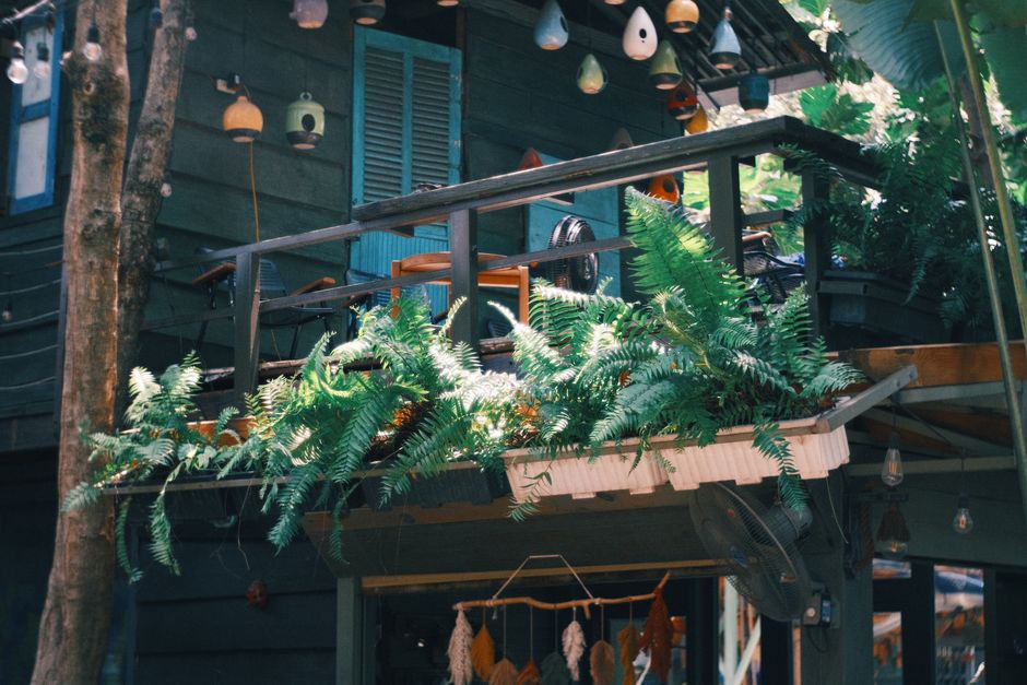 Charming wooden balcony adorned with lush ferns and hanging decor.