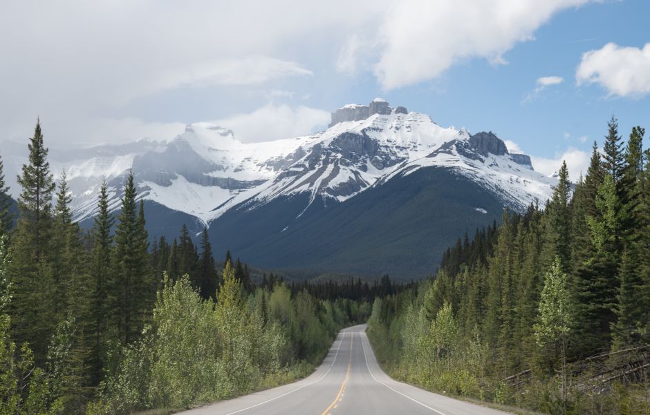 A breathtaking view of a winding road through the snow-capped Canadian Rockies, surrounded by lush forests.