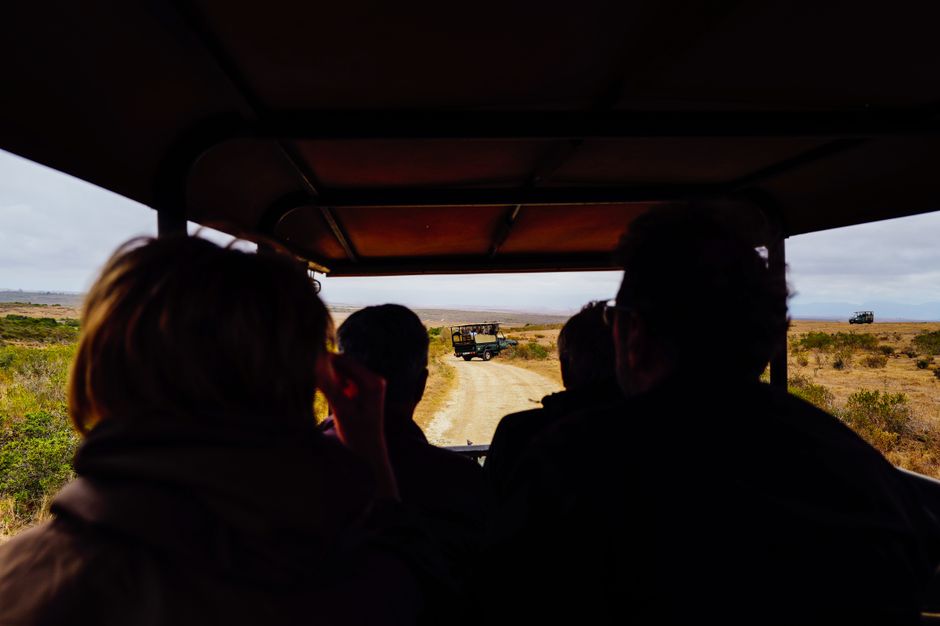 Group of tourists on a safari, observing wildlife in open terrain under a protective canopy.