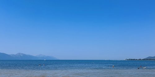 Midday Swimming