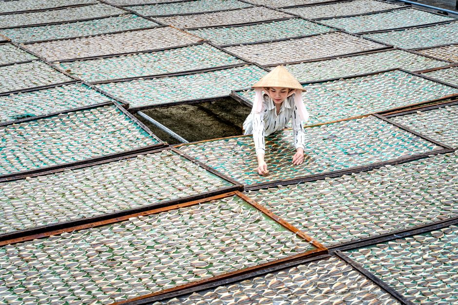 A woman in a conical hat processes fish at an outdoor drying farm in Vietnam.